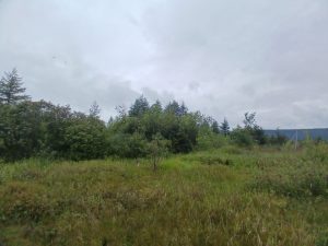 Земельный участок Магадан, р-н Горняк