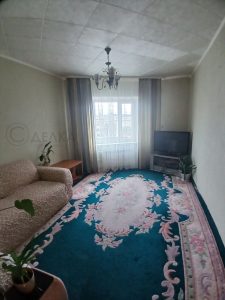 пр. Карла Маркса 67