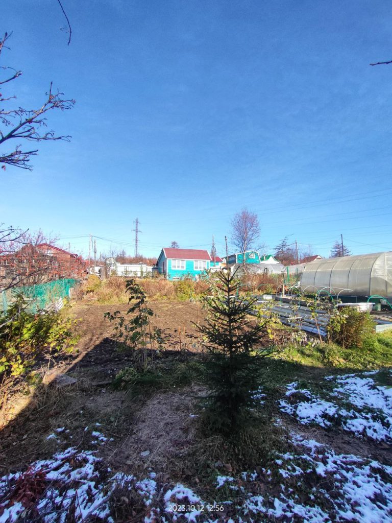 ул. 8-садовая 6